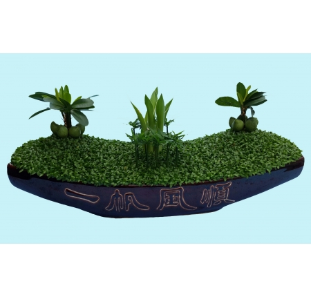 Cây tổng hợp