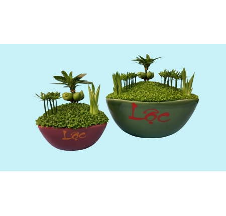 CÂY TỔNG HỢP