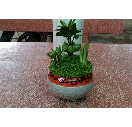 Cây tổng hợp