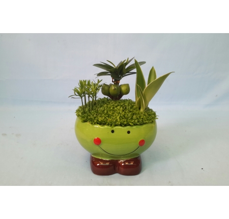 Cây tổng hợp