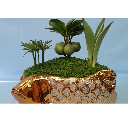 Cây tổng hợp