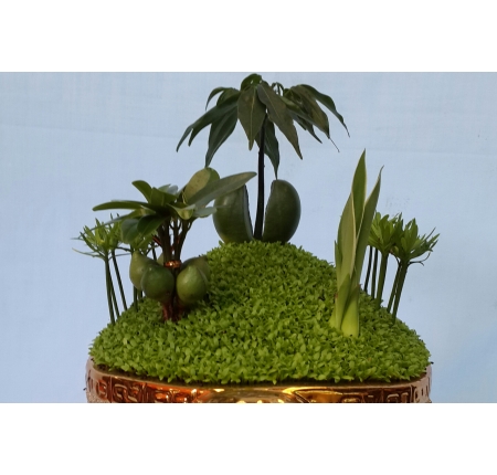 Cây tổng hợp