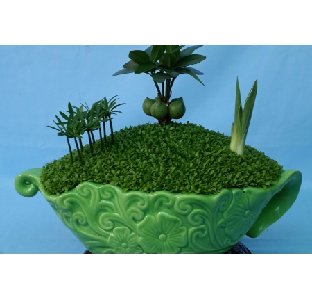 Cây tổng hợp