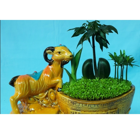 Cây tổng hợp