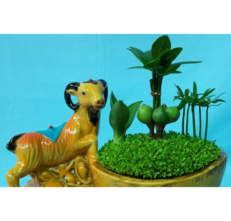 Cây tổng hợp
