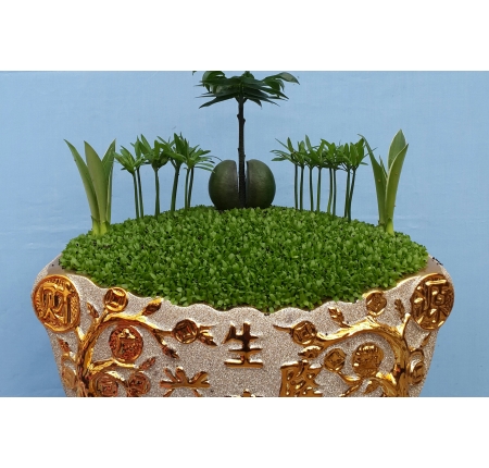 Cây tổng hợp