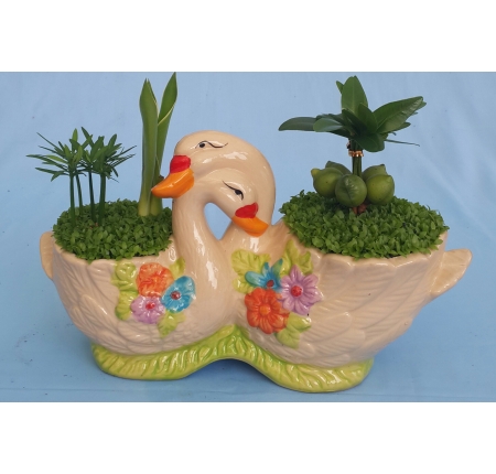 Cây tổng hợp