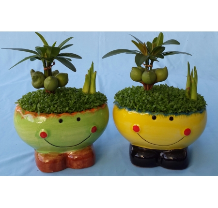 Cây tổng hợp