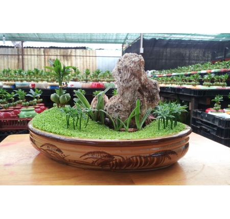 Cây tổng hợp