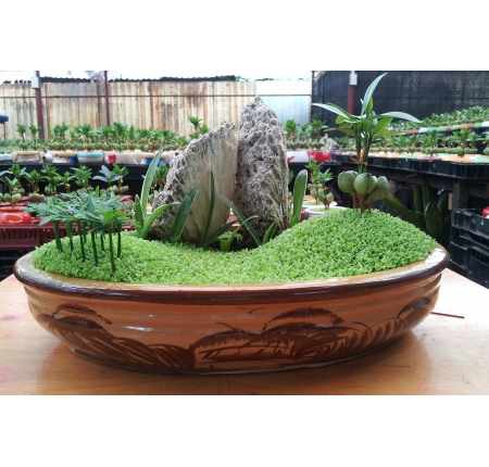 Cây tổng hợp