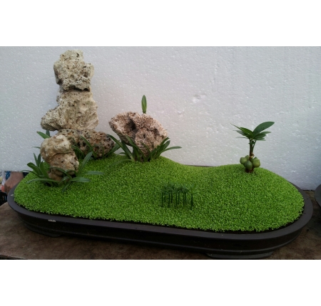Cây tổng hợp
