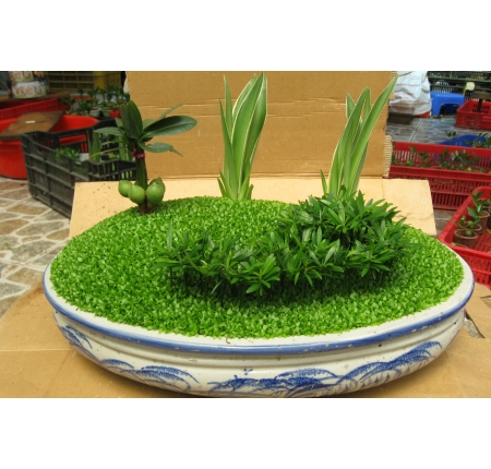 Cây tổng hợp