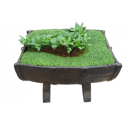 Cây tổng hợp