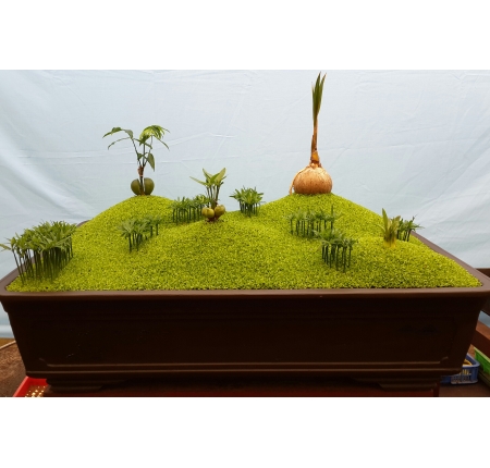 Cây tổng hợp