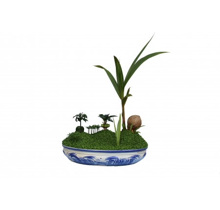 CÂY DỪA