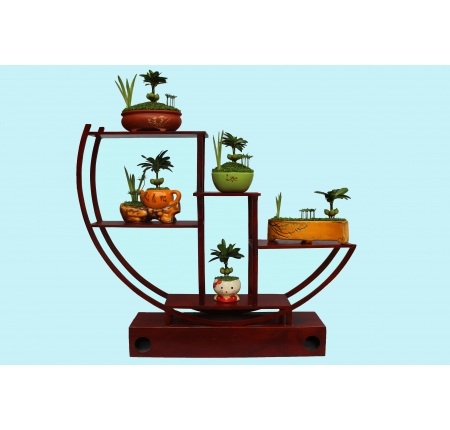 CÂY TỔNG HỢP