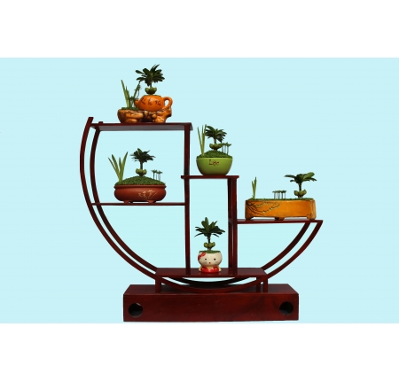 CÂY TỔNG HỢP