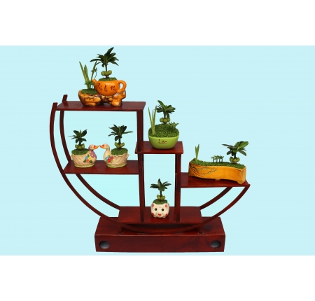 CÂY TỔNG HỢP