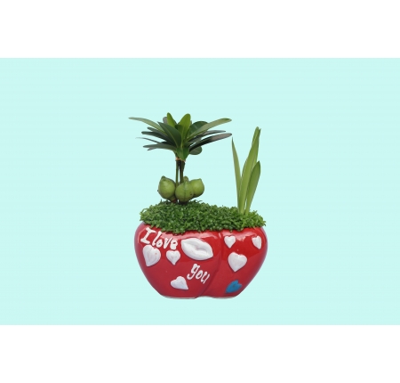 CÂY TỔNG HỢP