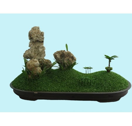 CÂY TỔNG HỢP